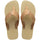 AREIA