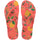 TROPICAL CORAL